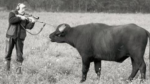 schlachtung_lea_trampenau__COPY__9